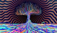 Psychedelic High image 2